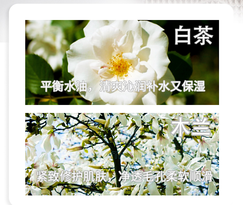 薇妮芮-香水沐浴露木蘭花_05.jpg