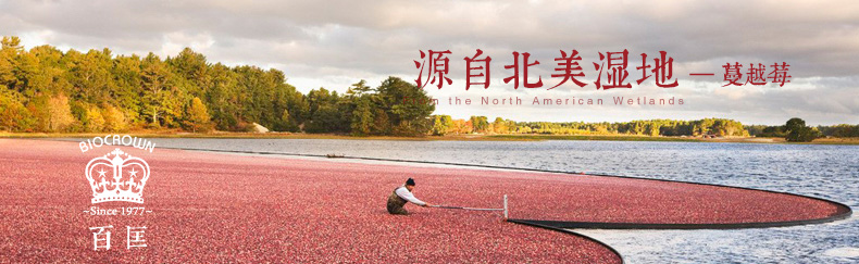 玫瑰蔓越莓皂(手機(jī)端)1_08.jpg