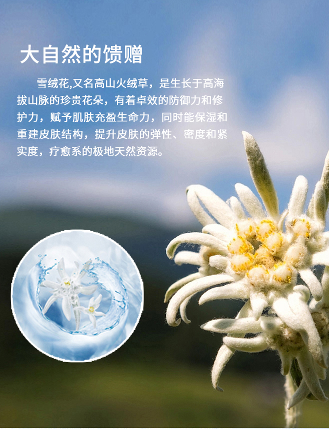 雪絨花去角質嫩滑手膜詳情頁調整_04.jpg
