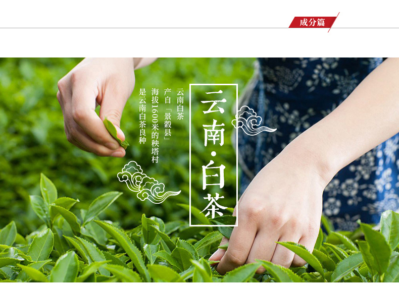 詳情 (7).jpg
